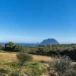 Le Di Mara - Tipici 