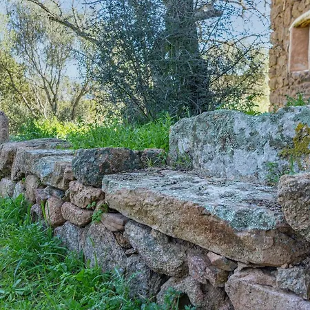 Διαμέρισμα Le Di Mara - Tipici 