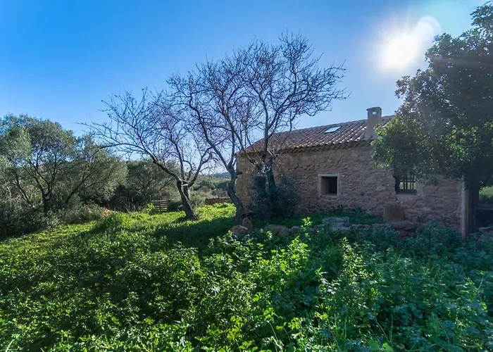 Le Di Mara - Tipici 